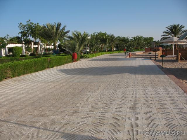 фото Кубаночка