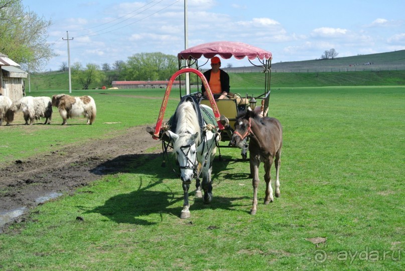 Путешествие по Липецкой области