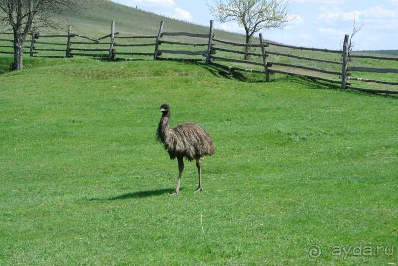 Путешествие по Липецкой области