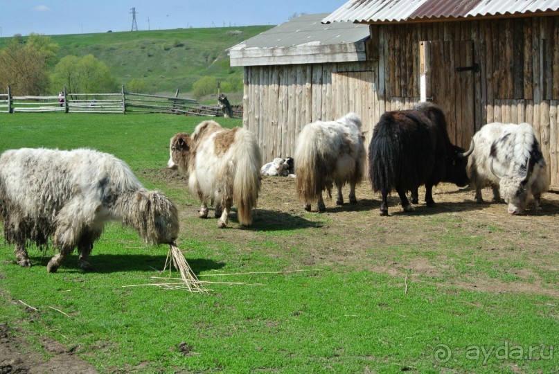 Путешествие по Липецкой области