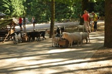 Прибалтика. Часть 1 