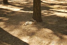 Прибалтика. Часть 1 