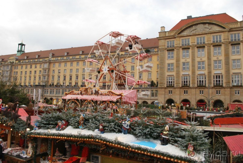 Альбом отзыва "Дрезден"