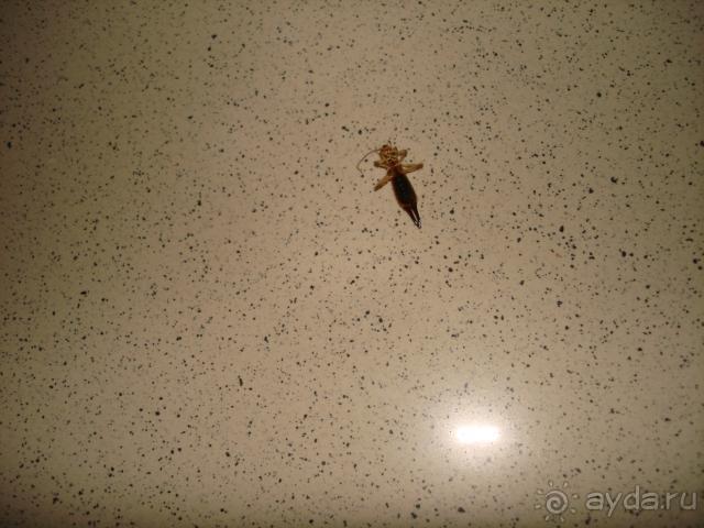 фото Andaman Beach Suites