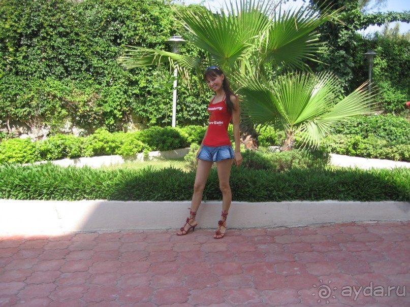 Отдых под палящим солнцем.