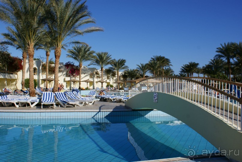 фото Palm Beach Resort