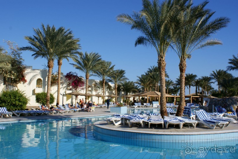 фото Palm Beach Resort