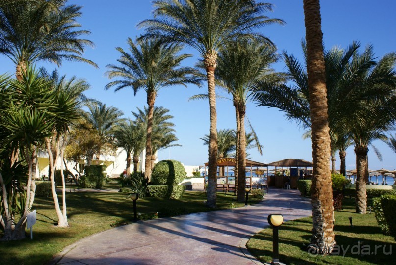 фото Palm Beach Resort