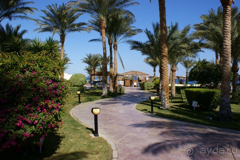 фото Palm Beach Resort