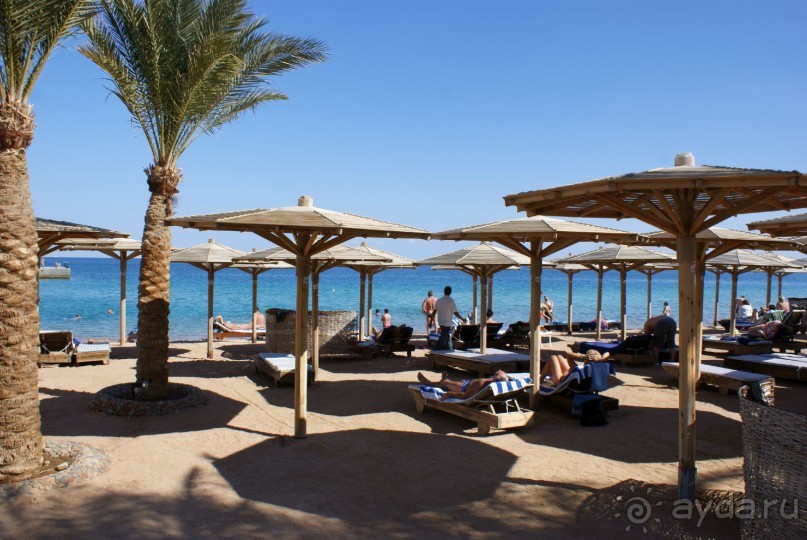 фото Palm Beach Resort