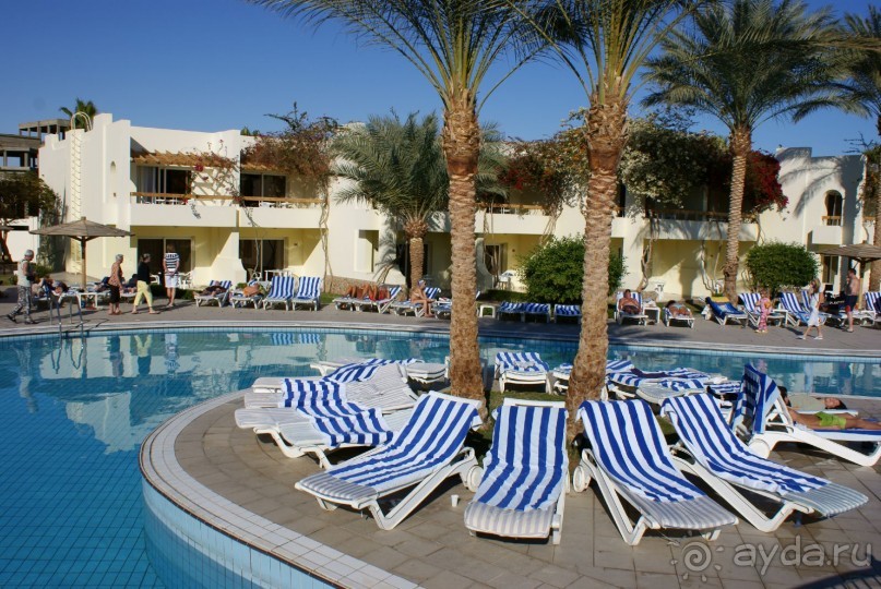 фото Palm Beach Resort