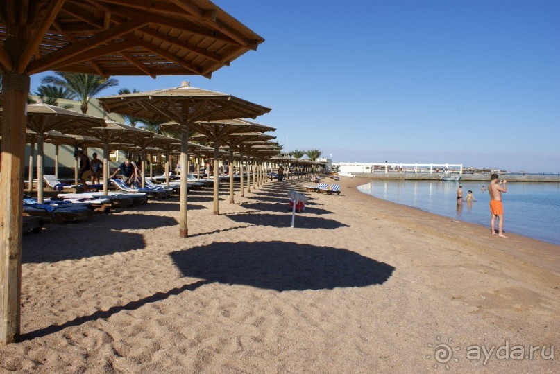 фото Palm Beach Resort