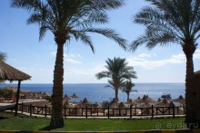 фото DoubleTree by Hilton Sharks Bay Resort