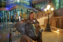 Hilton Sharks Bay 2012 январь