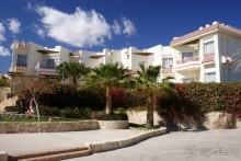 фото DoubleTree by Hilton Sharks Bay Resort