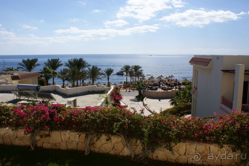 фото DoubleTree by Hilton Sharks Bay Resort