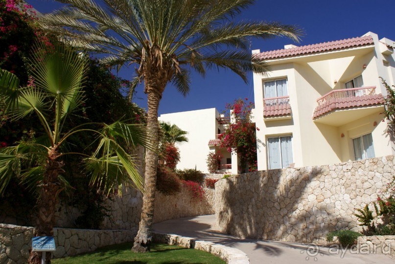 фото DoubleTree by Hilton Sharks Bay Resort