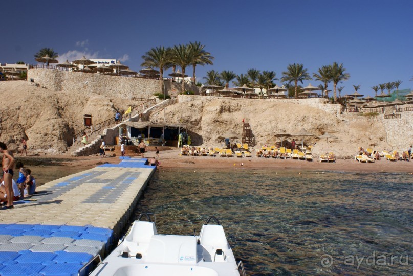 фото DoubleTree by Hilton Sharks Bay Resort