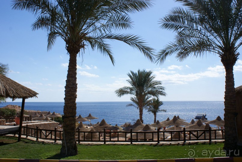 фото DoubleTree by Hilton Sharks Bay Resort