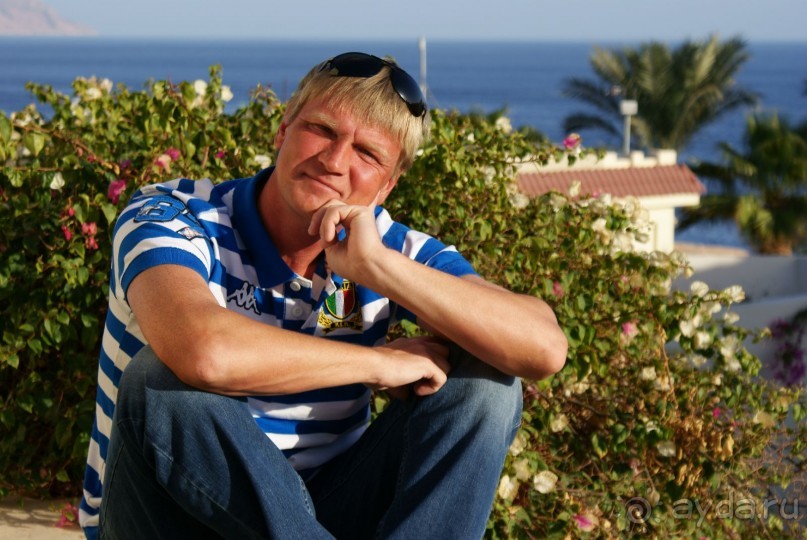 фото DoubleTree by Hilton Sharks Bay Resort