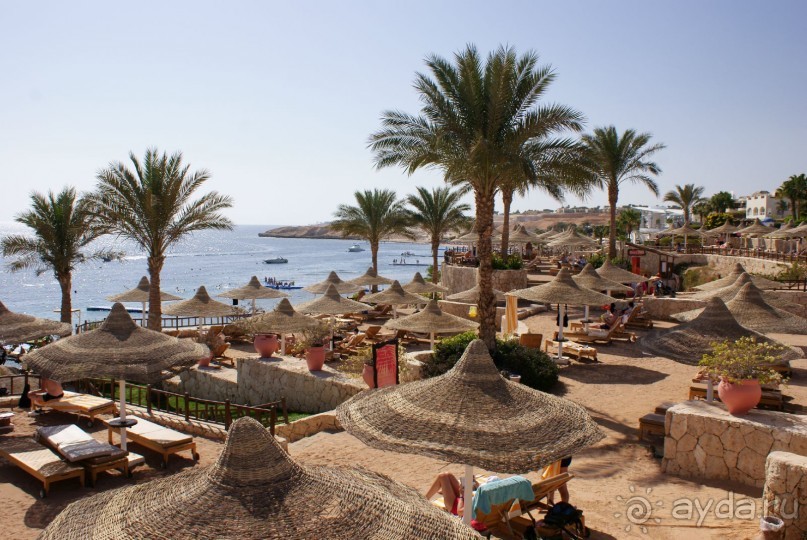 фото DoubleTree by Hilton Sharks Bay Resort