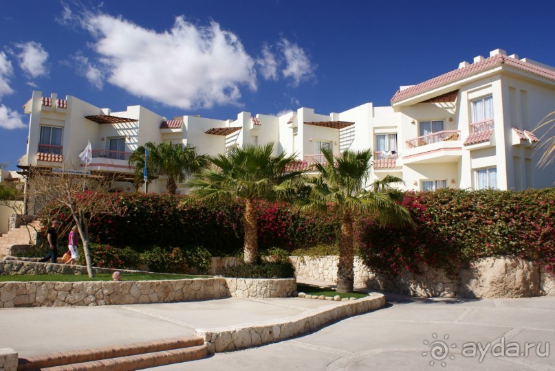 фото DoubleTree by Hilton Sharks Bay Resort