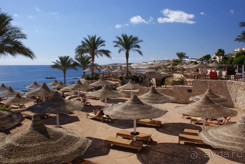 фото DoubleTree by Hilton Sharks Bay Resort