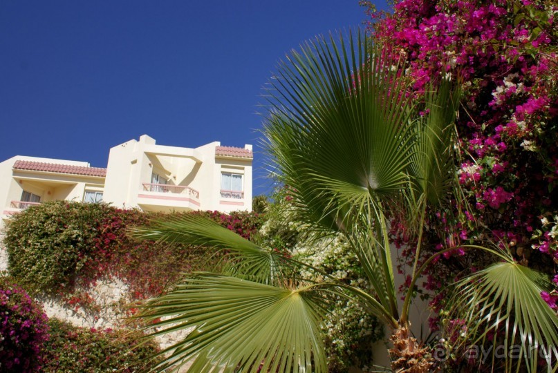 фото DoubleTree by Hilton Sharks Bay Resort