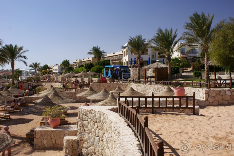 фото DoubleTree by Hilton Sharks Bay Resort