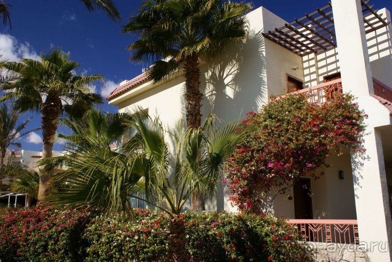 фото DoubleTree by Hilton Sharks Bay Resort