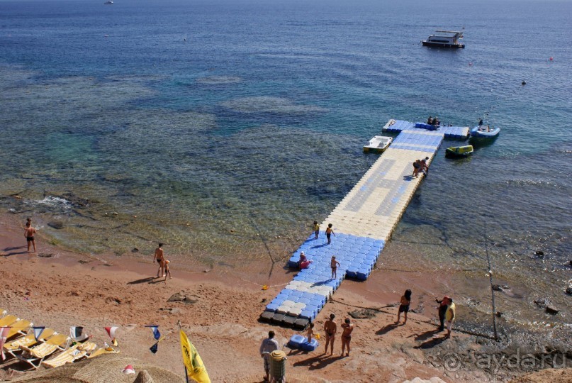 фото DoubleTree by Hilton Sharks Bay Resort