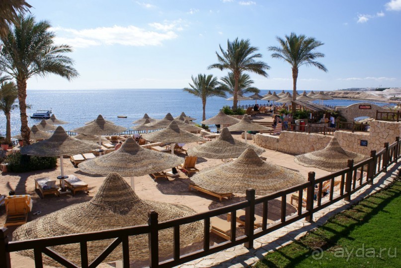 фото DoubleTree by Hilton Sharks Bay Resort