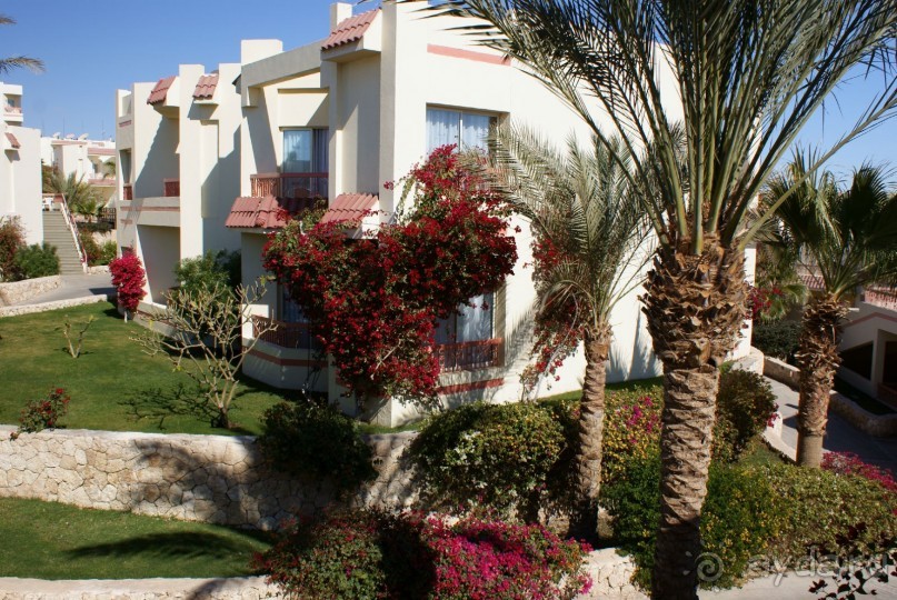 фото DoubleTree by Hilton Sharks Bay Resort