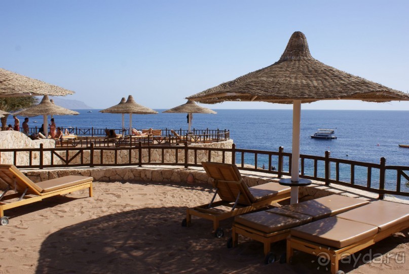 фото DoubleTree by Hilton Sharks Bay Resort