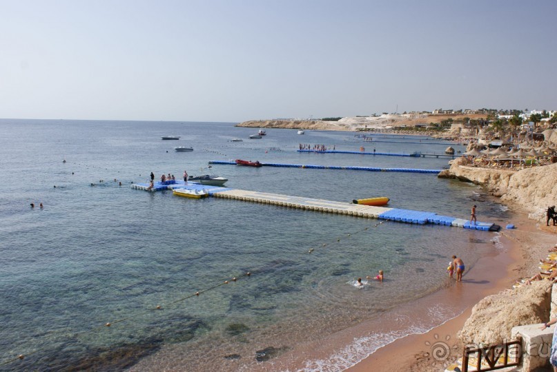 фото DoubleTree by Hilton Sharks Bay Resort