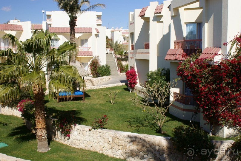 фото DoubleTree by Hilton Sharks Bay Resort