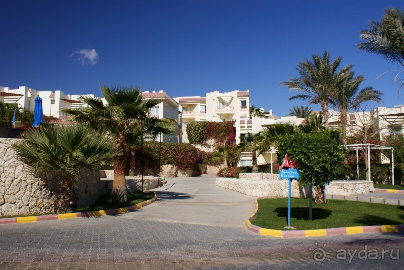 фото DoubleTree by Hilton Sharks Bay Resort