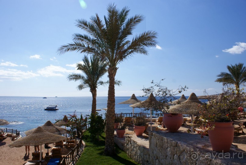 фото DoubleTree by Hilton Sharks Bay Resort