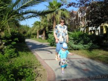 Почти оазис.