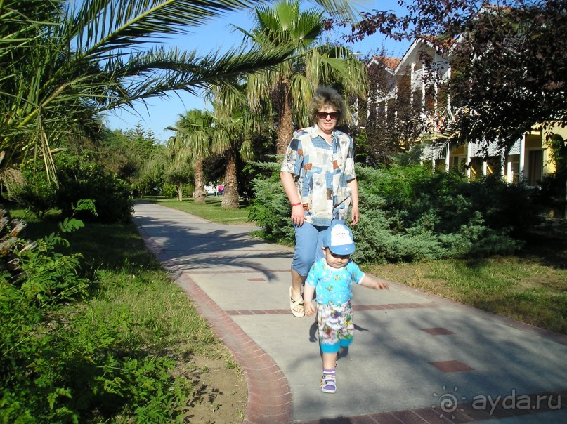 Почти оазис.