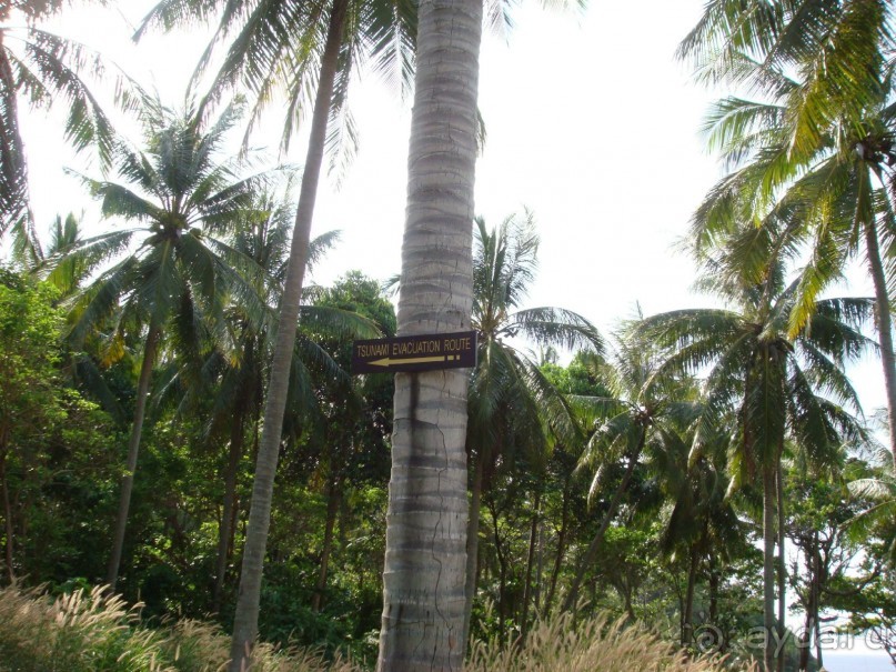 Если вдруг...