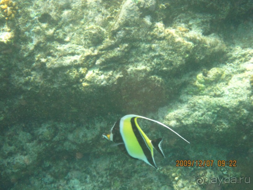 Остров-отель The Racha 4*