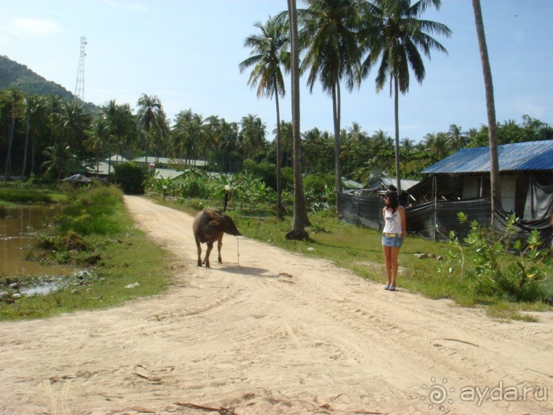 В глубине острова.