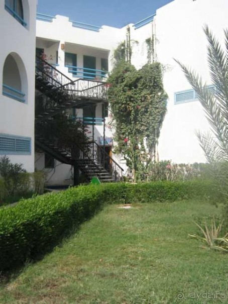 фото Shams Safaga