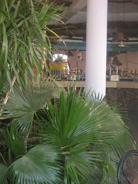 фото Shams Safaga