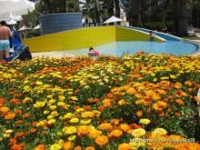 фото Crystal Tat Beach Golf Resort & Spa