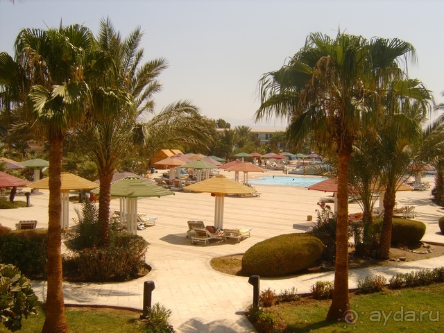 фото Holiday Inn