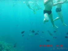 Melia Sinai 5* - хороший вариант для зимнего отдыха