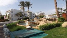 Melia Sinai 5* - хороший вариант для зимнего отдыха