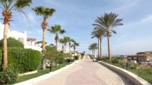 Melia Sinai 5* - хороший вариант для зимнего отдыха
